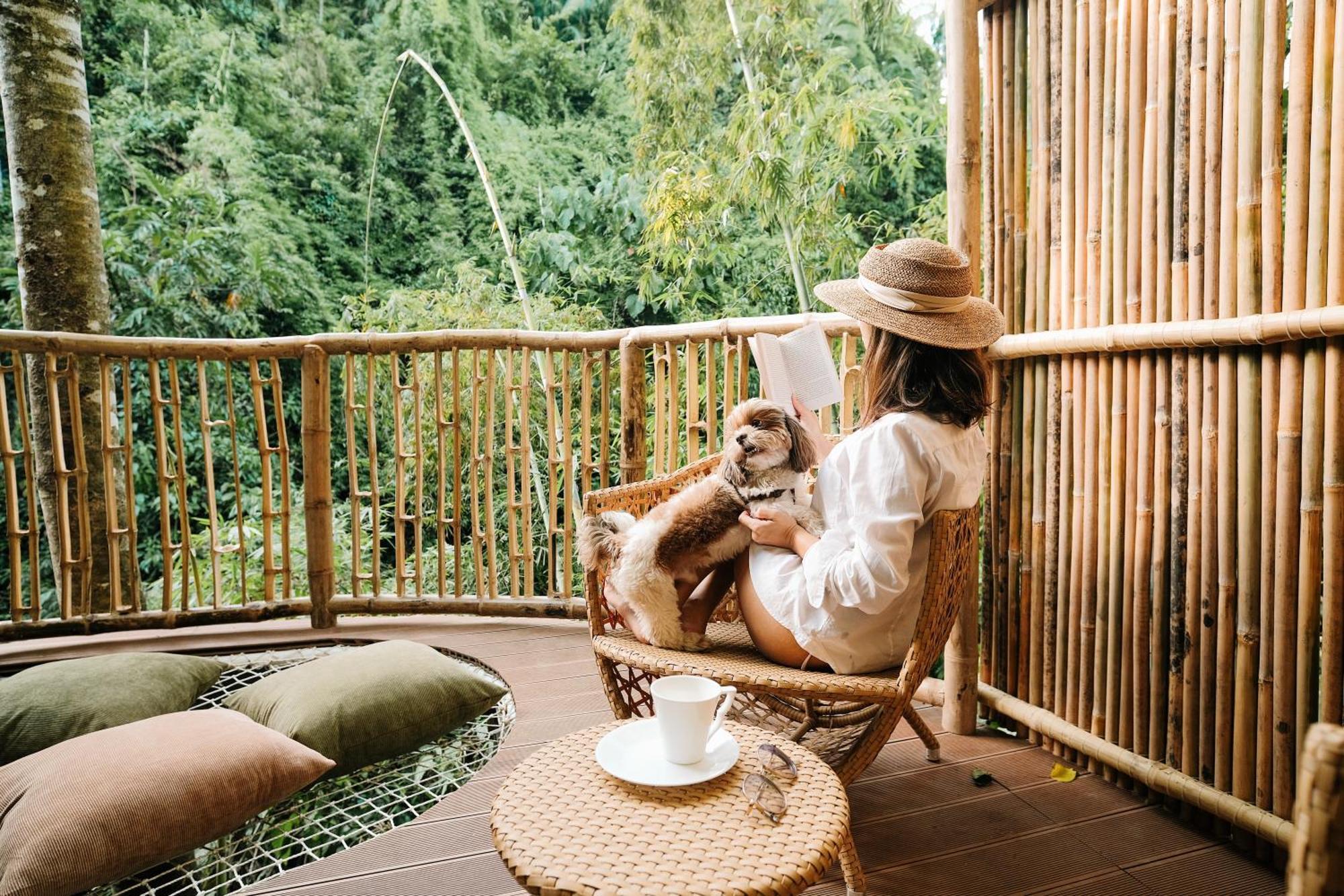 فيلا Treehouse De Valentine Balamban المظهر الخارجي الصورة